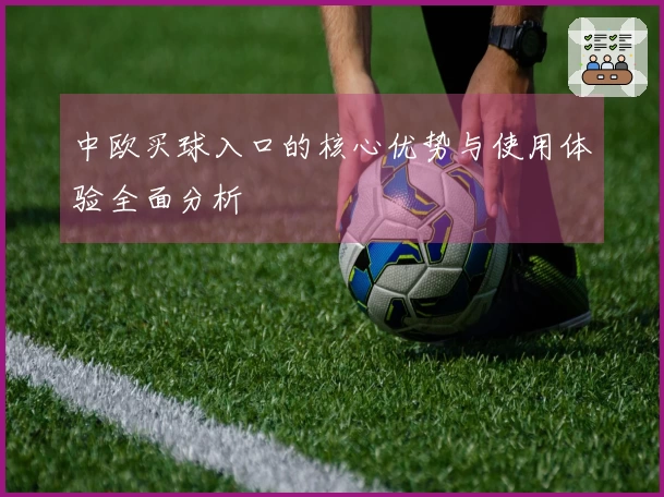 中欧买球入口的核心优势与使用体验全面分析