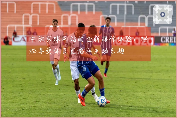 中欧买球网站的全新操作体验，轻松享受体育直播和互动乐趣